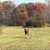 Sally Holman - Facebook