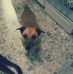 Sally Holstein - Facebook