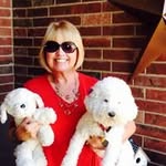 Sally Hook - @sallyleeh - Instagram