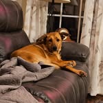 SALLY HOOKER - @sallyhooker8 - Instagram