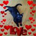 Sally Horner - Facebook