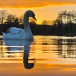Sally Howard - @sallyhoward40photography - Instagram