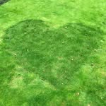 Sally - @sallyhow - Instagram