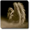 Sally Howell320 - @fierymishchief - TikTok