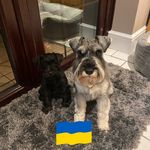 Sally Howell - @sallyh12370 - Instagram
