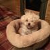 Sally Howell - Facebook