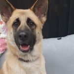 Sally Howell - @sally_bear22 - Instagram