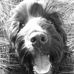 Sally-Anne Hoyle - Facebook