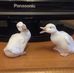 Sally Hoyle - Facebook