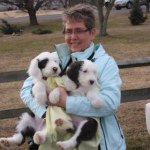 Sally Hoyle - @oesagility - Instagram