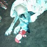 Sally Hull - @sa.lly680 - Instagram