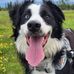 Sally Hull - Facebook