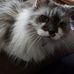 Sally Hummel - Facebook