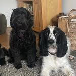 Sally Hummel - @hummelsally - Instagram