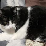 Sally Hummel - @sally.hummel.372 - Instagram