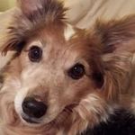 Sally Payne Hummel - @sallypaynehummel - Instagram