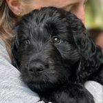 Sally - @sally.hummelstrand - Instagram