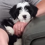 Sally Hunt - @sallyhunt1963 - Instagram