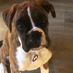 Sally Hunt - @sally.hunt.771 - Instagram