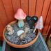 Sally Hunt - Facebook