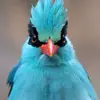 SallyImHome - @sallyimhome - TikTok