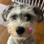 sarii - @sally__im - Instagram