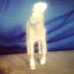 Mr. Sally Inglehood - @mrsallyinglehood - Instagram