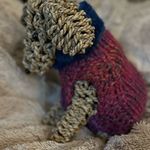 Sally Ingle - @pooch.coature - Instagram