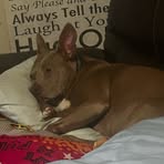 Sally Ingle - Facebook
