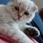 Sally Ingledew - @ingledewsally - Instagram