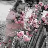sallyingram143 - @sallyingram143 - TikTok
