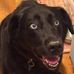 Sally Isom Furgiuele - Facebook