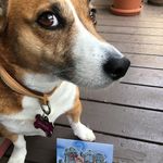 Sally Iverson - @gledegirl - Instagram