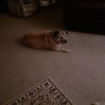 Sally Ives - @sally.ives.505 - Instagram