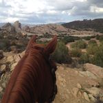 Sally Ives - @my_pal_sal1 - Instagram