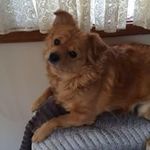 Sally Jacob - @sally.jacob.315 - Instagram