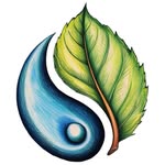 Sally Jacob - @sj.naturalhealth - Instagram