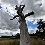 Sally Jacobsen - @topa.zz88 - Instagram