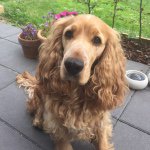 Sally Moltke Jacobsen - @sally.moltke - Instagram