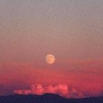 Enriqueta Lassen - @sallyjaeger699 - Instagram