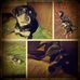 Sally Jamison - Facebook