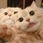ليدي أوسكار - @sally_jassim19 - Instagram