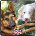 Sally Jeffries - Facebook