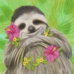 Sally Jeffries - @sallyjeffries5 - Instagram