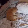 sally crunk - @sallyjesse34765 - TikTok
