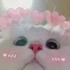 GIAZZZ - @sallyjiriiscrazyyy - TikTok