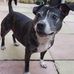 Sally Johnstone - Facebook