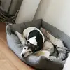 SallyJonas - @sallyjonas2016 - TikTok