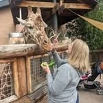 Sally Joyner Giffin - @sallyburtjoynergiffin - Instagram