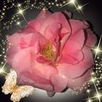Sally Juarez - Facebook